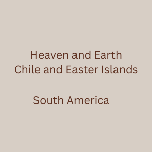 Art Project of Goethe Institut Dakar, Senegal